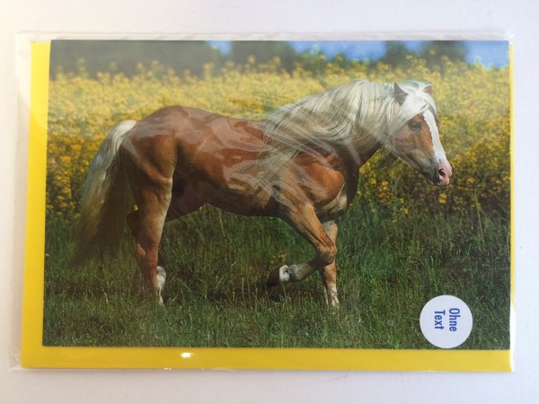 Cards "Horse"